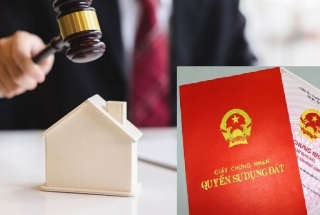 Một số vấn đề lý luận về đấu giá quyền sử dụng đất